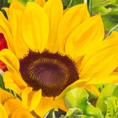 Krzysztof Kowalski - “Let Me Brighten Your Day” – www.esperoart.com