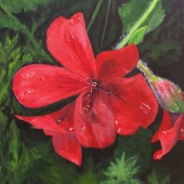 Robert Clark - “Irish Beauty” – www.bobsfineart.com