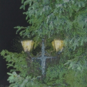 Mariana Ivanova - “Golden Lanterns” – http://www.artbymariana.com/