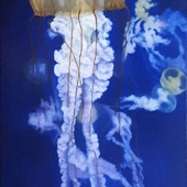 Merrilyn Duzy - “Marlene's Jellyfish” – http://www.merrilynduzy.com/