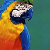 3rd Place – Kathy S. Copsey - “A Beauty of Many Colors” – www.ksdesigns16.com