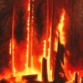 Hon. Mention - Merrilyn Duzy - “Burn” – www.merrilynduzy.com     urn”