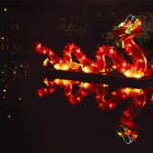 8th Place – Peggy Curtis - “Chinese New Year” – www.peggyphoto.com