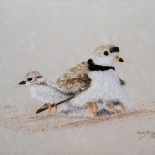 Sandy Moser – “Come On Let's Play” – www.sandymoserart.ca