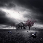 Sara Victoria Sandberg - “Abandoned” - www.saravictoriasandberg.com