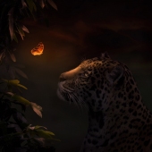 Sara Victoria Sandberg - “Enchanted” - www.saravictoriasandberg.com