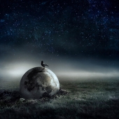 Sara Victoria Sandberg - “Fallen Light” - www.saravictoriasandberg.com