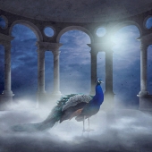 Sara Victoria Sandberg - “Majestic” - www.saravictoriasandberg.com