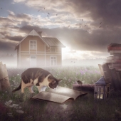 Sara Victoria Sandberg - “Morning Tales” - www.saravictoriasandberg.com