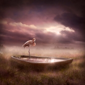 Sara Victoria Sandberg - “Reflections” - www.saravictoriasandberg.com