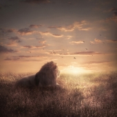 Sara Victoria Sandberg - “Sunset” - www.saravictoriasandberg.com