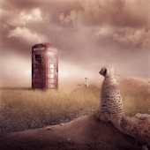 Sara Victoria Sandberg - “The Curious” - www.saravictoriasandberg.com