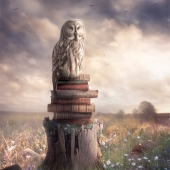 Sara Victoria Sandberg - “The Visionary” - www.saravictoriasandberg.com