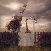 Sara Victoria Sandberg - “The Visitors” - www.saravictoriasandberg.com