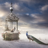 Sara Victoria Sandberg - “Winter's Queen” - www.saravictoriasandberg.com