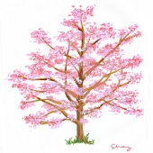 Canary (1) Img #1  Dogwood in Spring