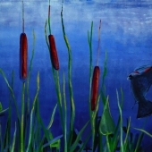 Daniel (1) Img #2 At the Marsh