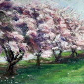 Gladstone (1) Img #2 Spring Lineup