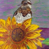 Lowe (3) Img #1 Summer Song