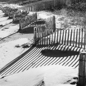 D - 4th Place - OA - McNally (1) Img #2  Zig Zag Beach Shadows