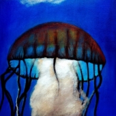 Walker (1) Img #1  Jammin Jelly Fish