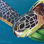 HM - Painting - Marci (1) Img #1  Aunty Turtle