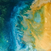 HM - Painting - Neale (1) Img #1  How I Wish You Were Here