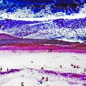 Boze (1) Img #1 Sea's Edge