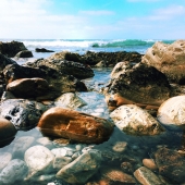 Chang (1) Img #5  More Than Rocks