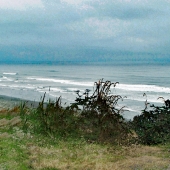 Schnepf (1) Img #1  Nearing The Beach