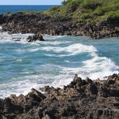 Shortt (1) Img #2 Bermuda 2