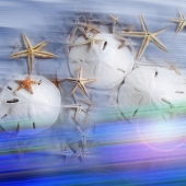 5th Place - Photography - Butler (1) Img #1  Blue Beach