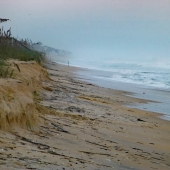 HM - Photography - Callaghan (1) Img #3 Misty