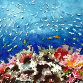 Perkovic (1) Img #3  Sea Depth