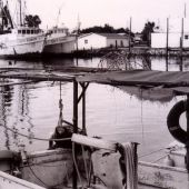 Theodoris (1) Img #5  The Marina