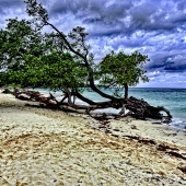 Wiens (1) Img #5  After the Hurricane