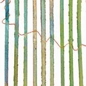 Cowles (1) Img #1  Sea Tangle