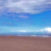 Engle (1) Img #1  Cherry Grove Beach