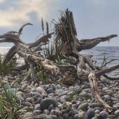 Brian LaSaga - “Tidal Roots” – www.brianlasagarealism.com