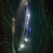 Pavlos Evangelidis - “Underwater Cathedral” – www.wantok.photos