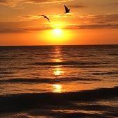 Michael Steven Platt - “Evening Flight” – www.michaelstevenplatt.com