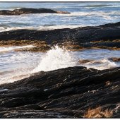 John Pingree - “Blue Rocks Surf” – j.pingree@hotmail.com