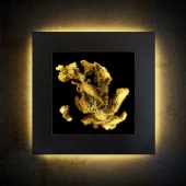 Alisa Sheinson - “Midas” – www.alisa-lightart.com