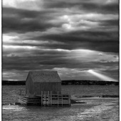 John Pingree - “Storm Coming” – j.pingree@hotmail.com