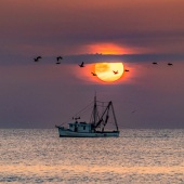 Razvan Balotescu - “A Blue Morning” – www.razgallery.com