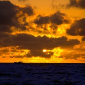 Elliott Block - “Sunrise Fishers” – www.blockfineart.com