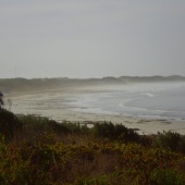 Sue Smith - “Despite Rain” – www.assp.suesmithphotography.com.au