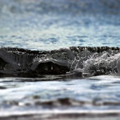 Lynn Campbell - “Shore Motion” – www.facebook.com/LynnCampbellArtbyWolfeyes