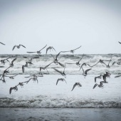 Cate Franklyn - “Rush Hour” – www.photosbycate@gmail.com