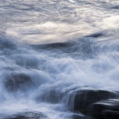 Penny de Jong - “Water Widerness” – pene_13@hotmail.com